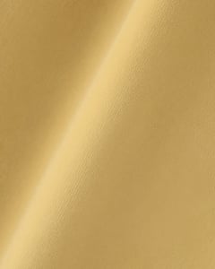 The Velvet Sample – Leo